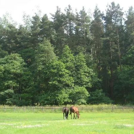 Blackberry * Kirkby Malzeard