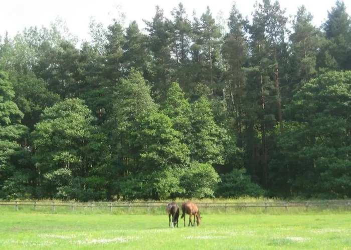 Blackberry * Kirkby Malzeard